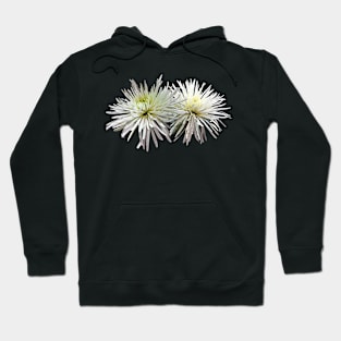 Two White Spider Mums Hoodie